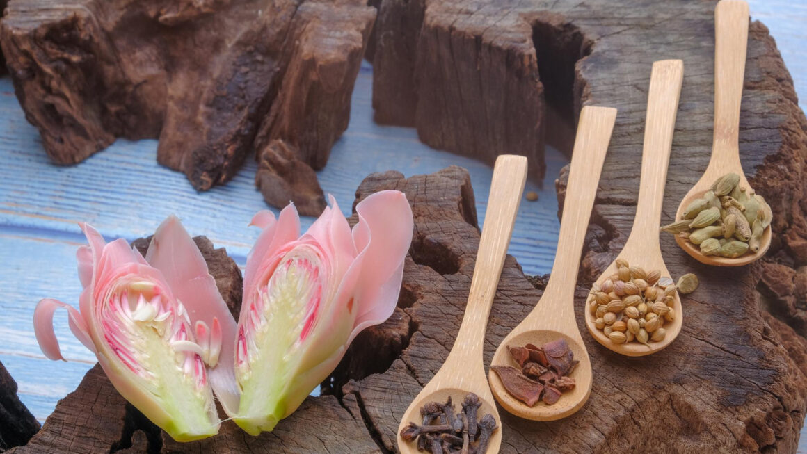 masáže rakovník, rehabilitace rakovník, monika poledníková