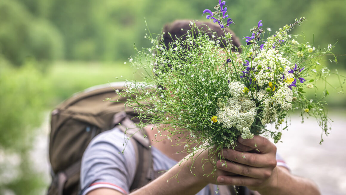 masáže rakovník, rehabilitace rakovník, monika poledníková, fytoterapie, bylinky